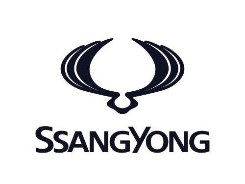 Accesorii Ssangyong.