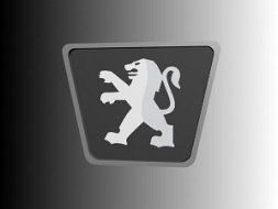 Accesorii Peugeot.