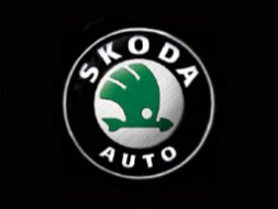 Accesorii Skoda.