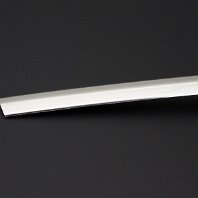 Protectie inox bara spate (2)